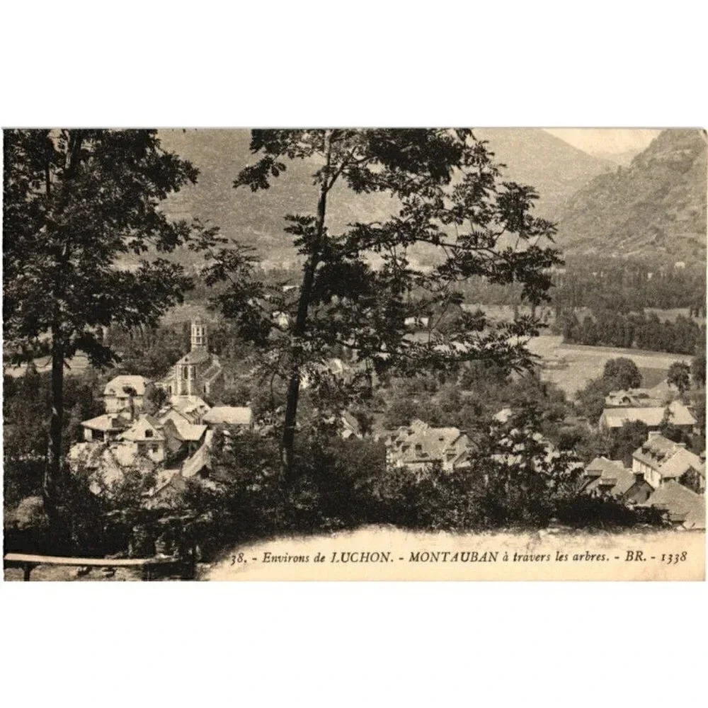 No. 38 Environs de LUCHON MONTAUBAN à travers les arbres- Montauban, Fr Postcard